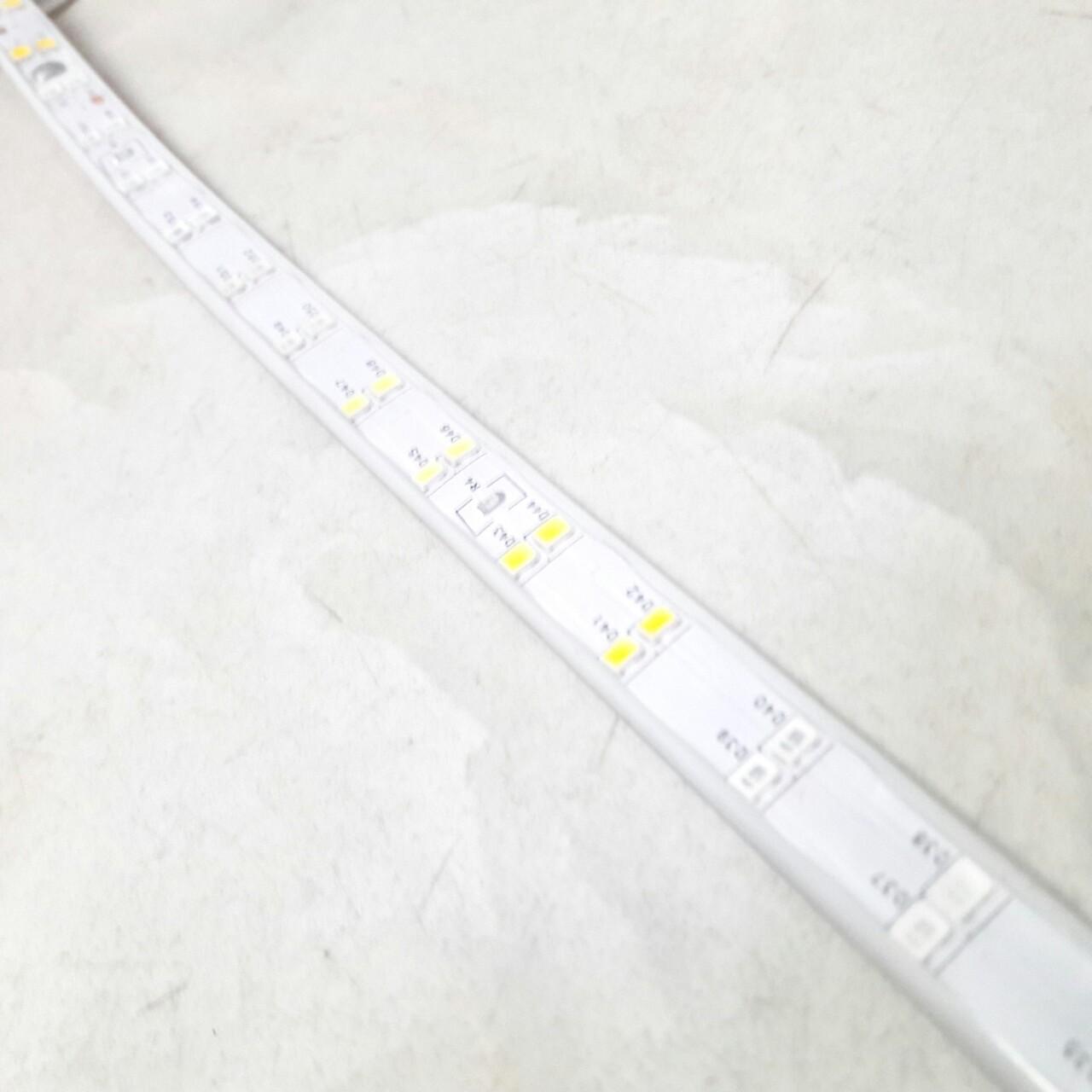 Đèn led dây 2835 2 hàng bóng Màu Hồng loại tốt