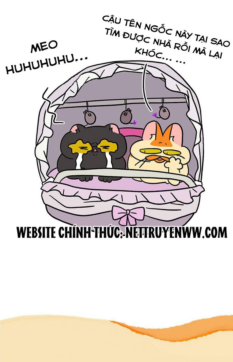 a mãn và mạch trà chapter 45.1 7