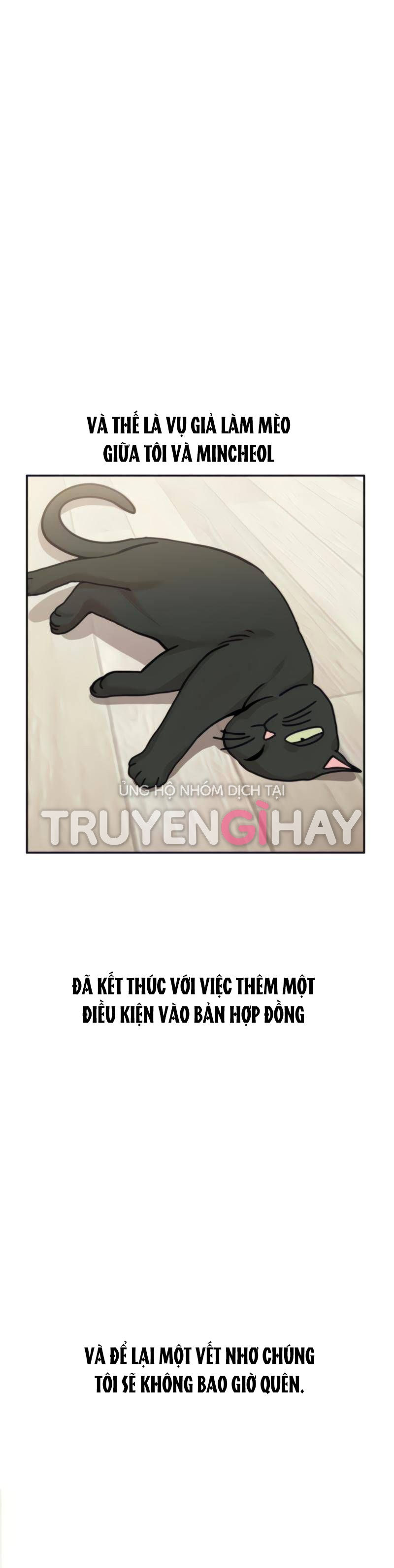 cuộc gặp gỡ định mệnh! chapter 9 51