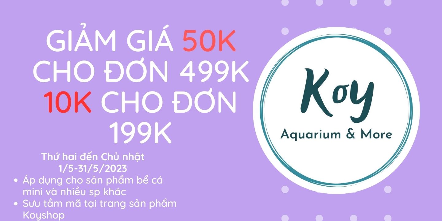 Bể cá mini 35x20x23 cm để bàn kính đúc