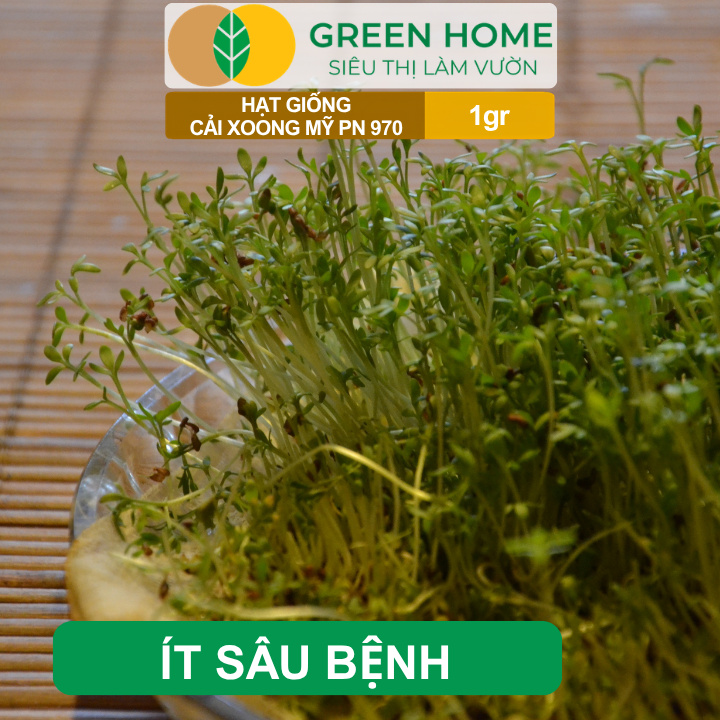 Hạt Giống Rau Xà Lách Xoong GreenHome, Gói 1gr, Dễ Trồng, Nảy Mầm Cao, Thu Hoạch Nhanh R01