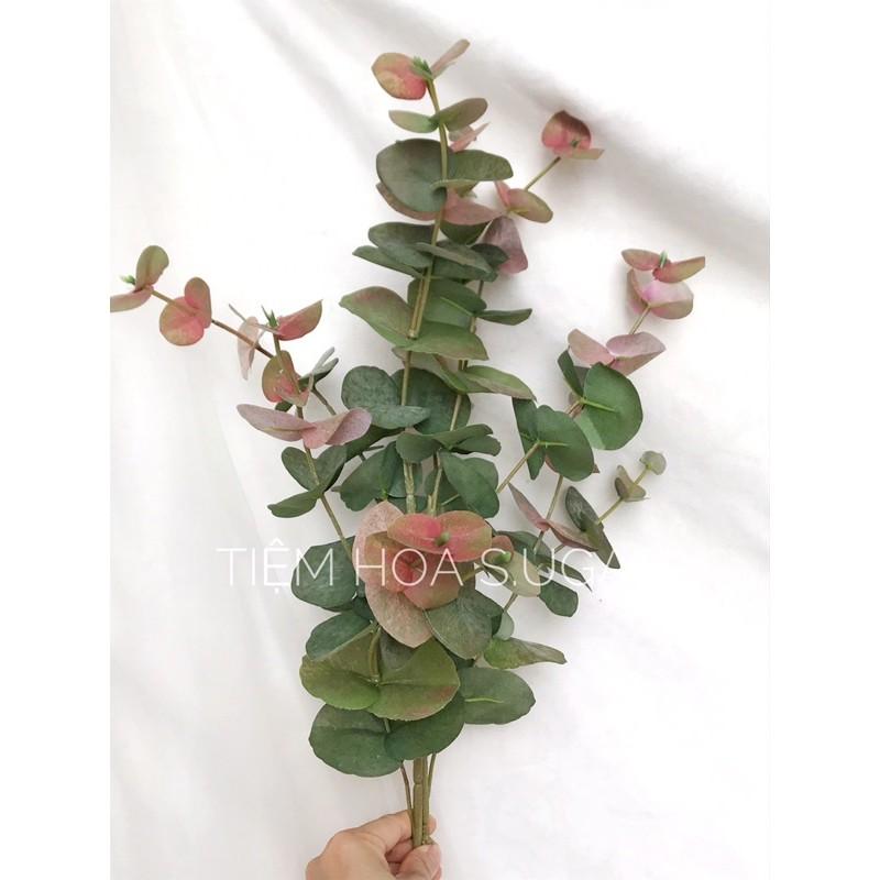 Cành lá táo cao cấp