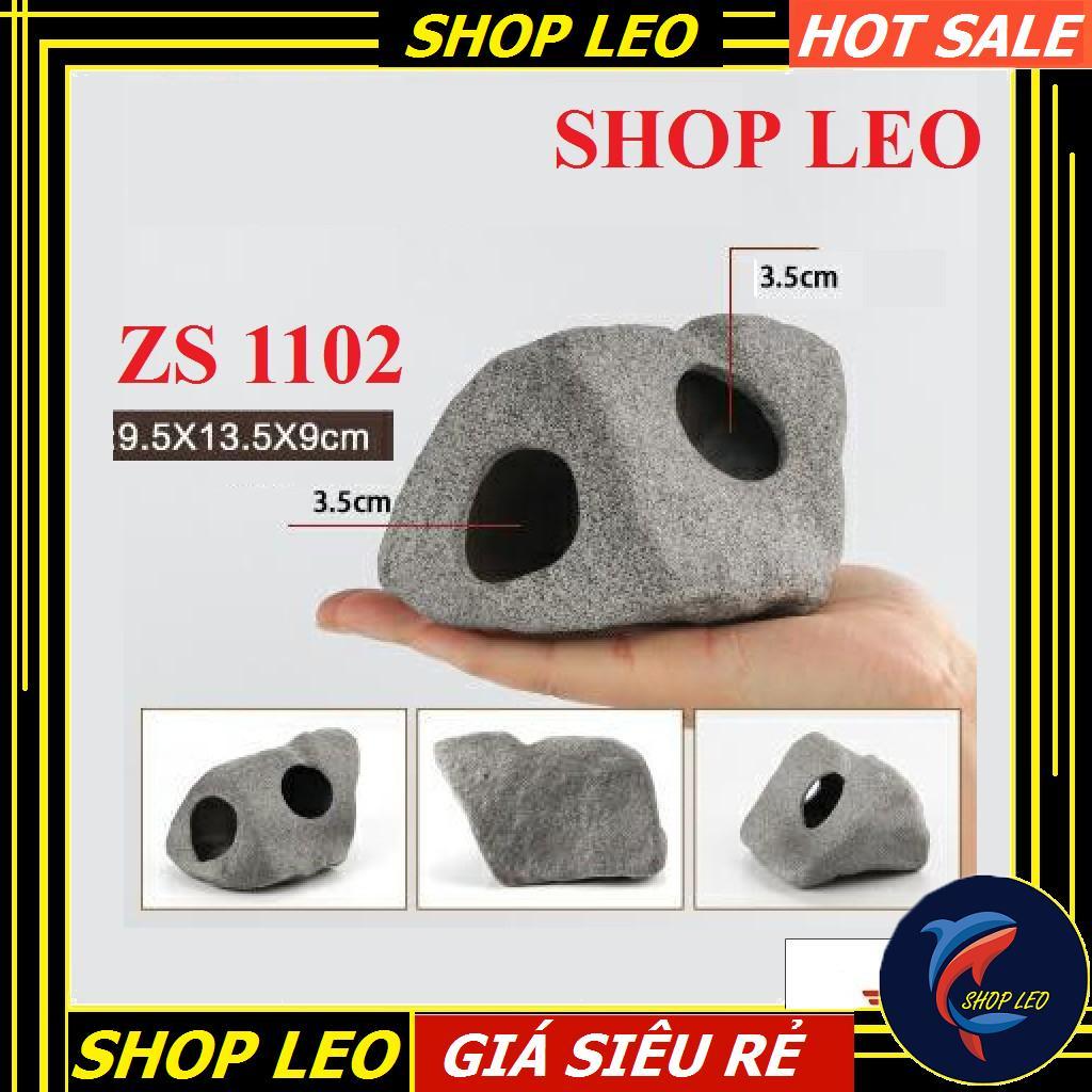 Hang cá ali - hang pleco - trang trí bể tép - bể thủy sinh - hồ cá cảnh