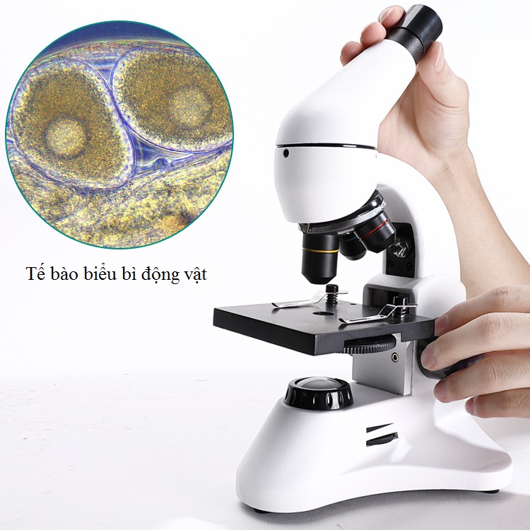 Kính hiển vi để bàn chuyên dùng trong y tế, quan sát các vật thể sinh vật M2