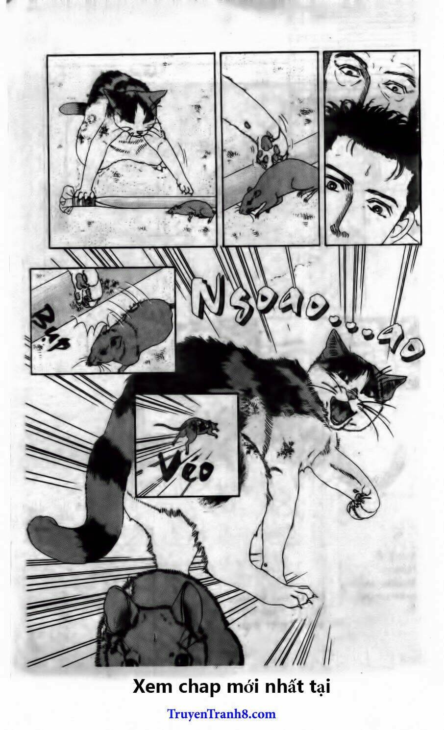 bác sĩ thú y chapter 54 19