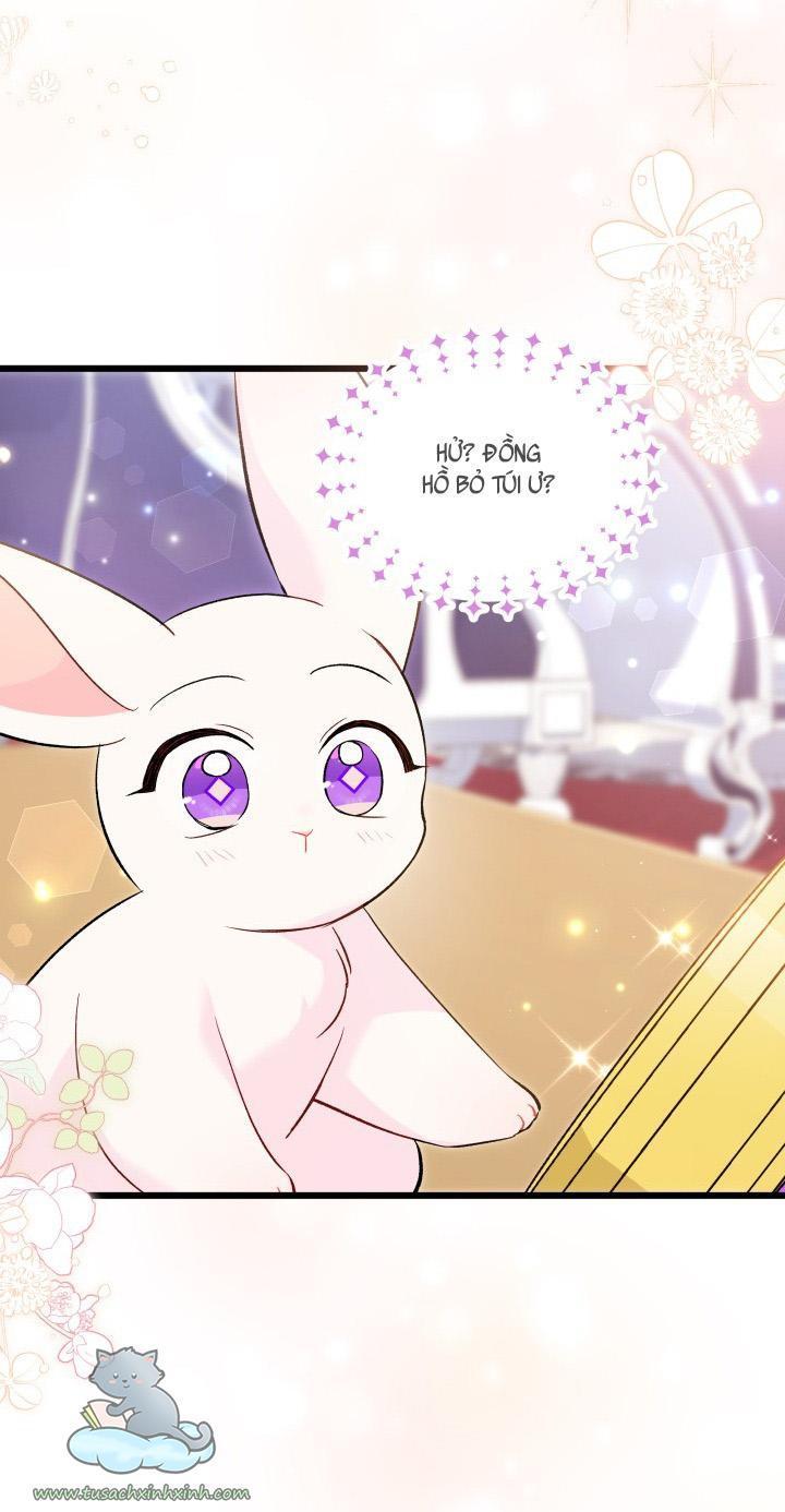 quan hệ cộng sinh giữa báo đen và thỏ trắng chapter 56 44