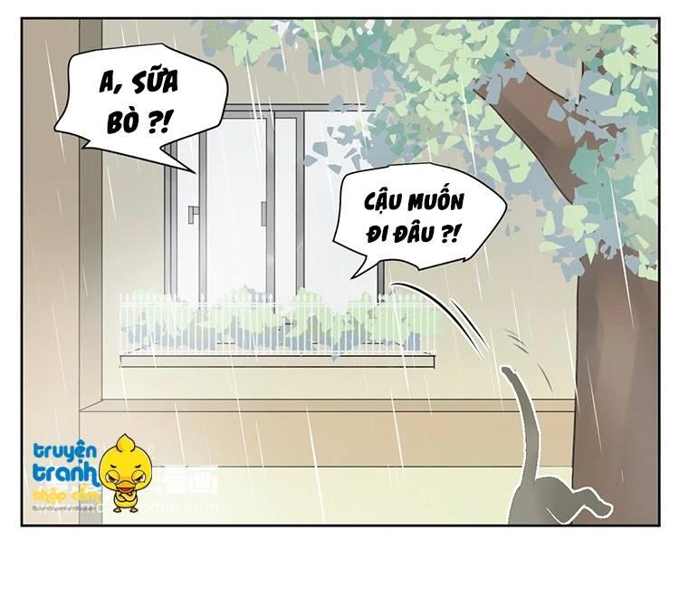 cứu mạng ! loài mèo thống trị thế giới rồi ! chapter 25 10