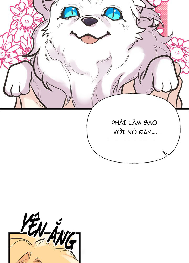 chị tôi đã nhặt về một nam chính quyến rũ chapter 52 3