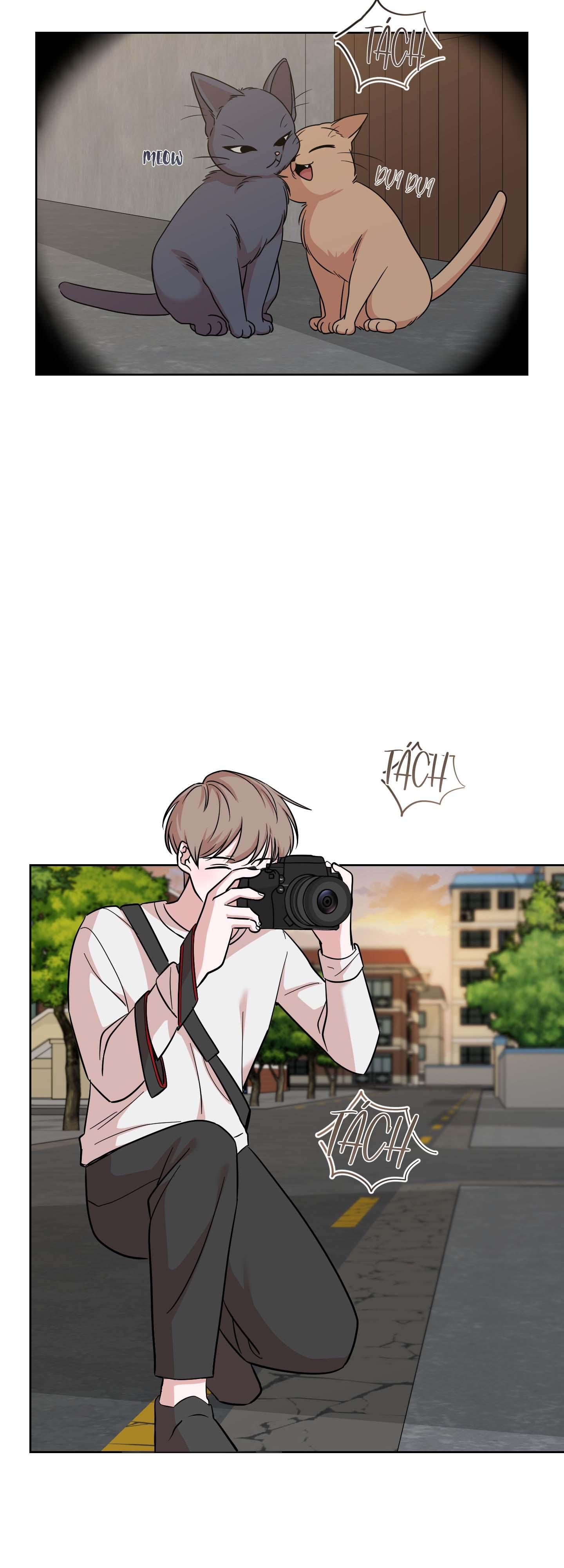 hoàn cảnh không thể tránh chapter 5 15