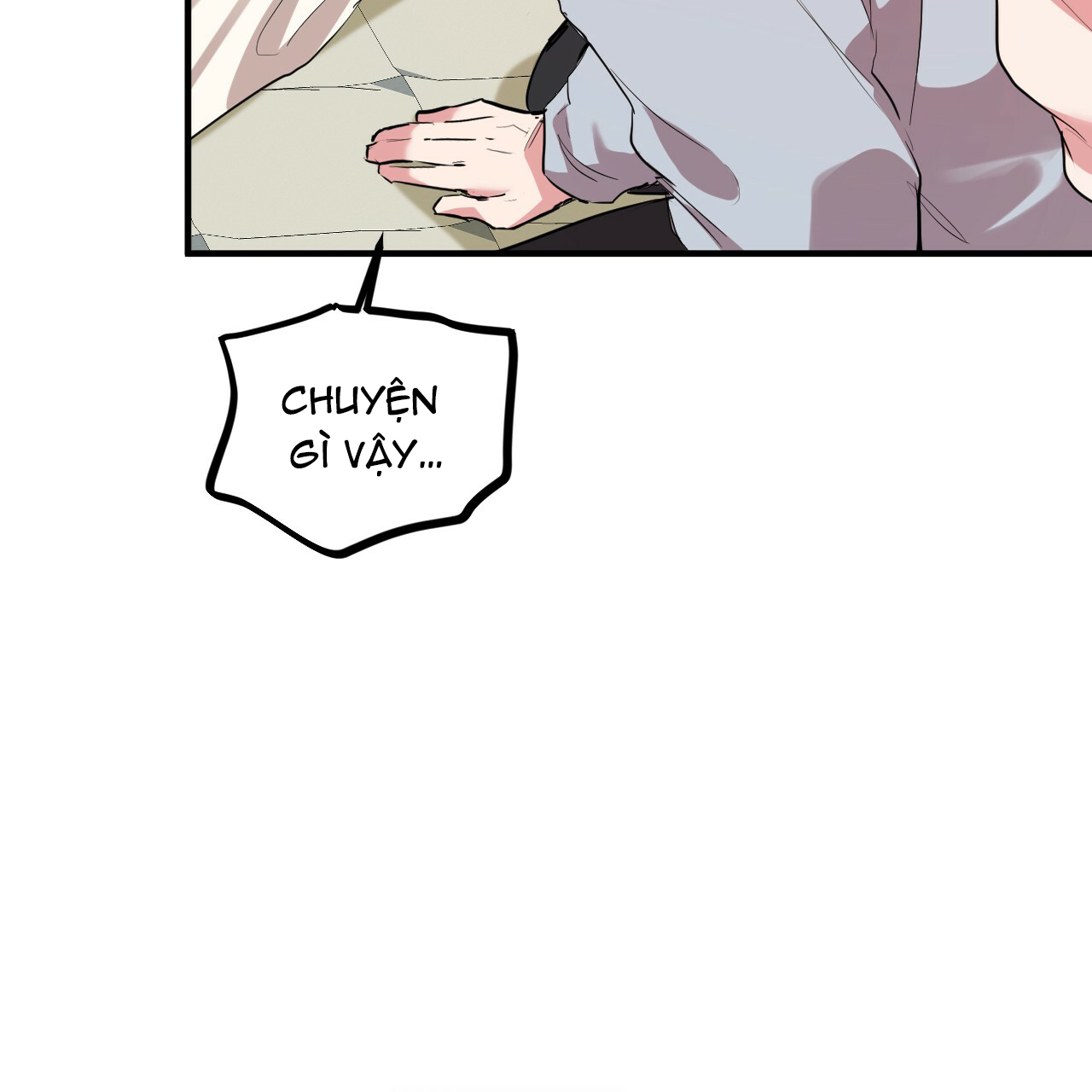 những chú thỏ của hapypy chapter 17 20