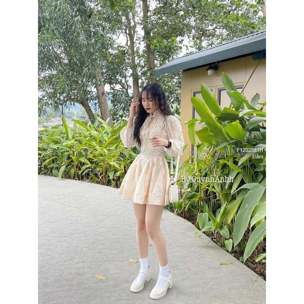Đầm xòe ren nổi cổ thắt nơ cực xinh!
