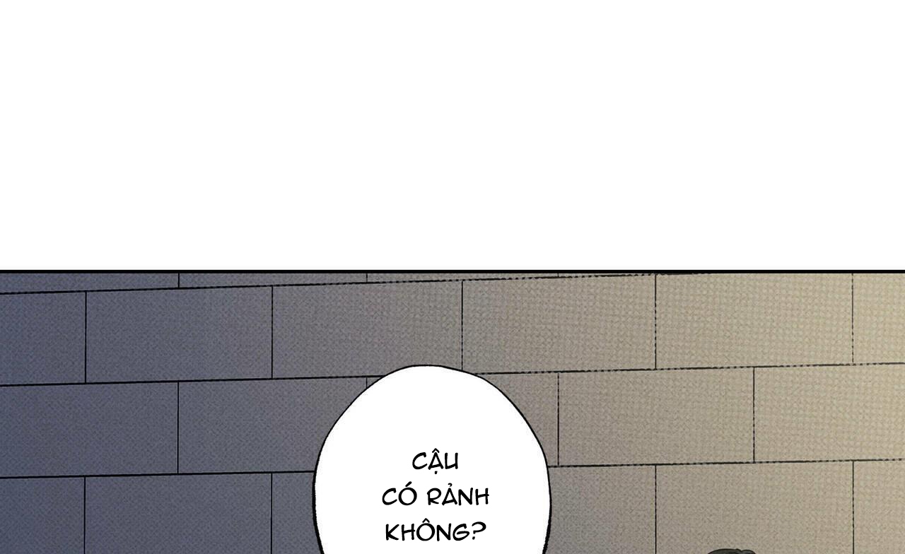 chàng giao pizza và gold palace chapter 17 7