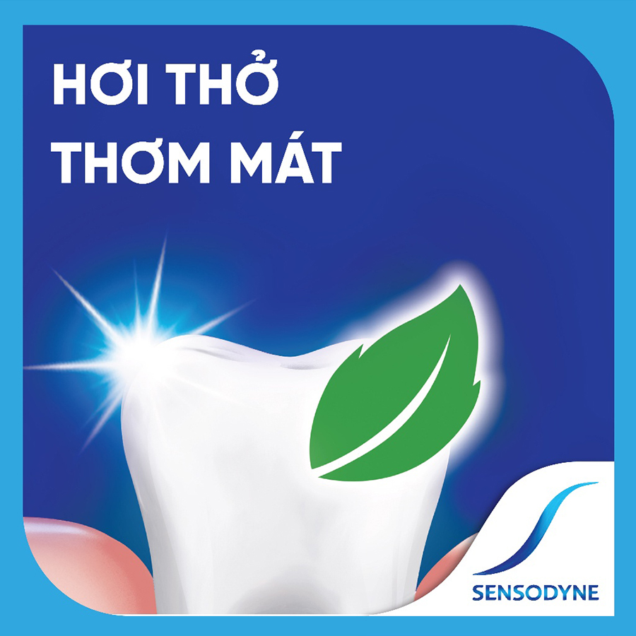 [Bộ 2] Kem Đánh Răng Bạc Hà Sensodyne Freshmint 160g/tuýp