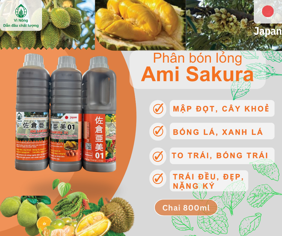 Phân Bón Lỏng Ami Sakura – Hữu Cơ Cho Cây Ăn Trái: Mập Đọt, Trái Bóng, Trái To, Trái Đều,...