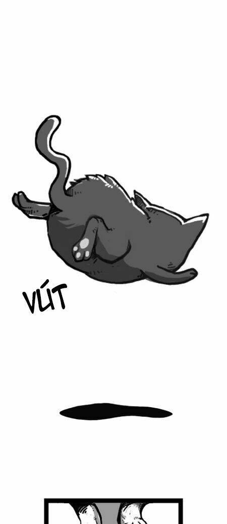 earth, human, and animal chapter 21 5