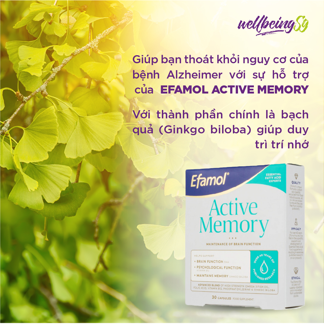 Viên Uống Bổ Sung Efamol Active Memory Hỗ Trợ Trí Nhớ Năng Động, Củng Cố Hiệu Suất Não Và Hệ Thần Kinh (30 Viên Soft Gel/ Hũ)