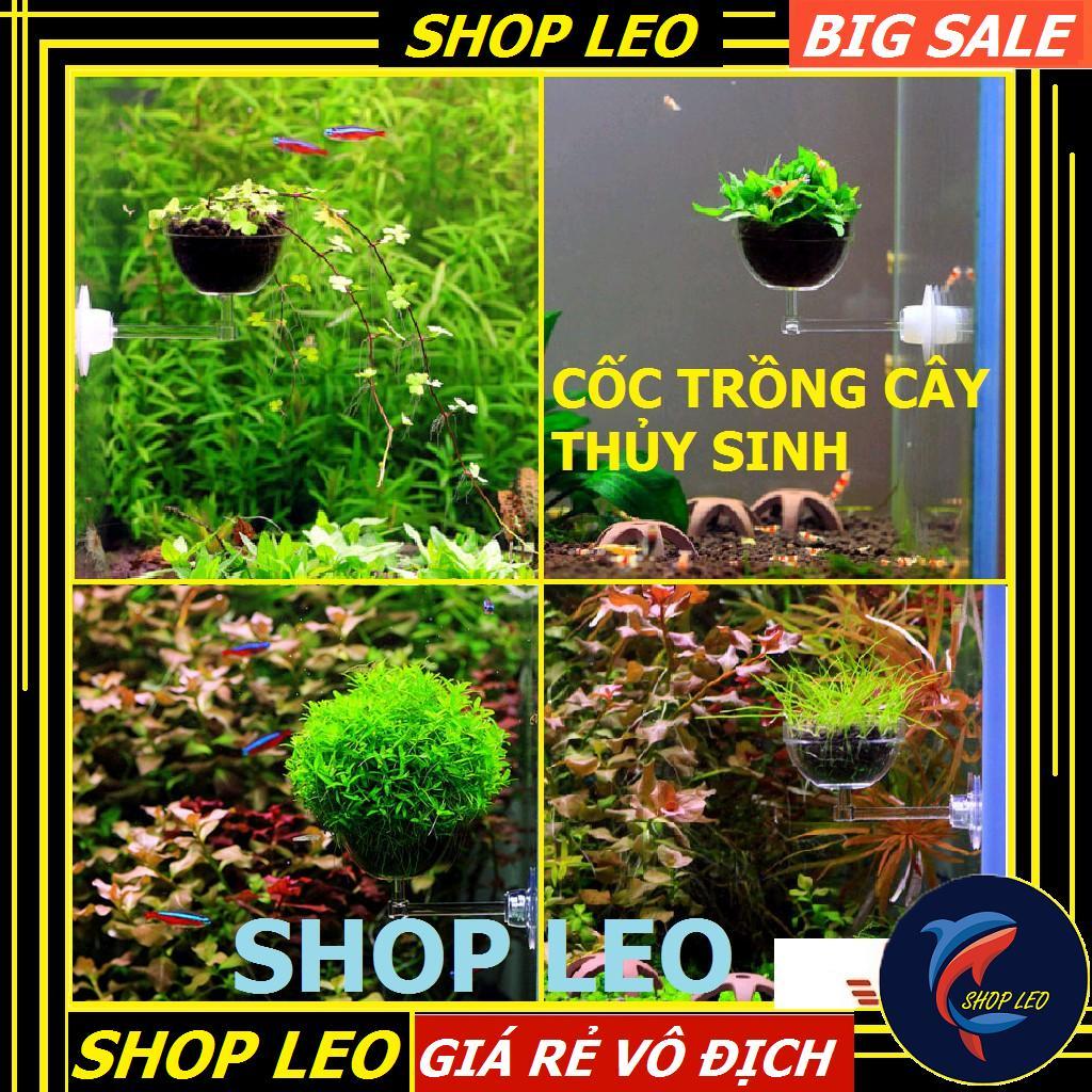 Đĩa cho tép ăn có hít - Cốc trồng cây thủy sinh - - Cốc đựng phân nền - Hồ thủy sinh - bể cá cảnh