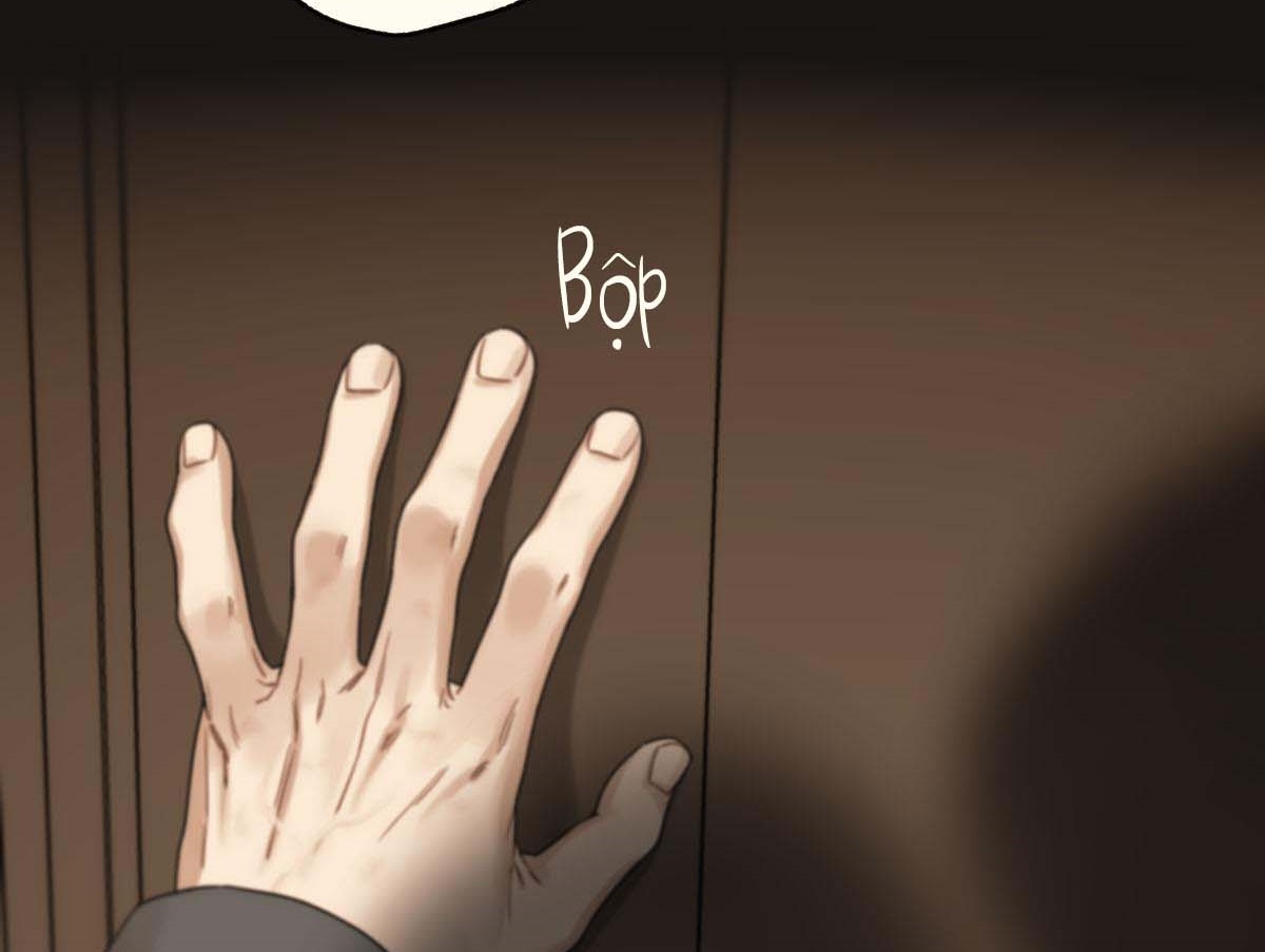 tương phùng chapter 31 36