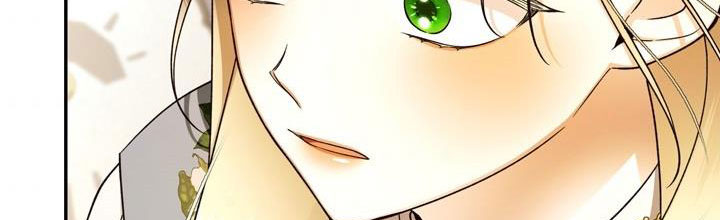 cách che giấu đứa con của hoàng đế chapter 43 209