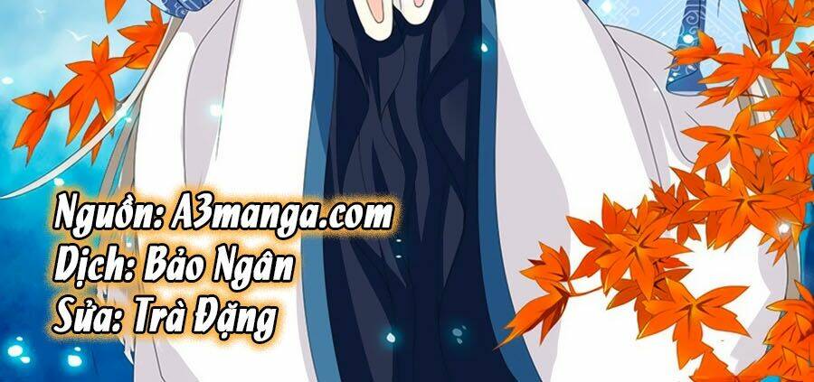 đống phù đã khai quang chapter 17 2