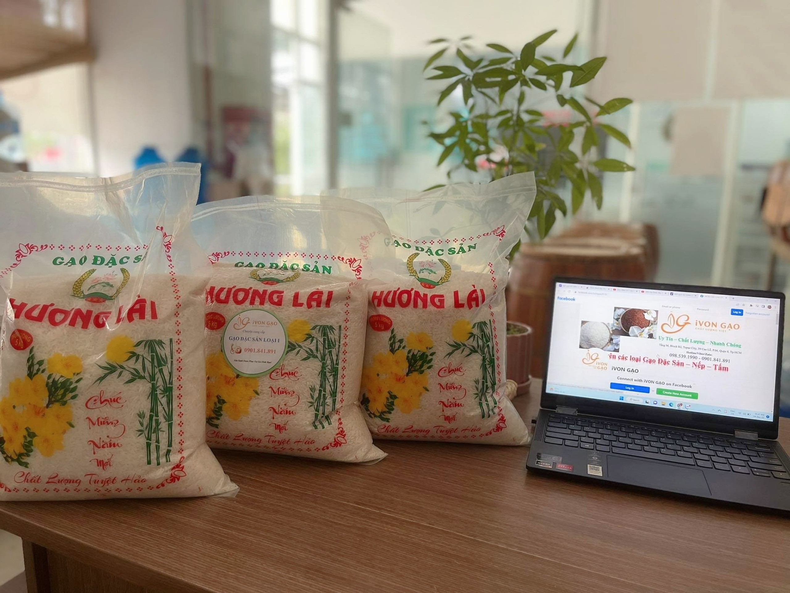 Gạo Hương Lài - Túi 5 kg - Dẻo, thơm, mềm cơm