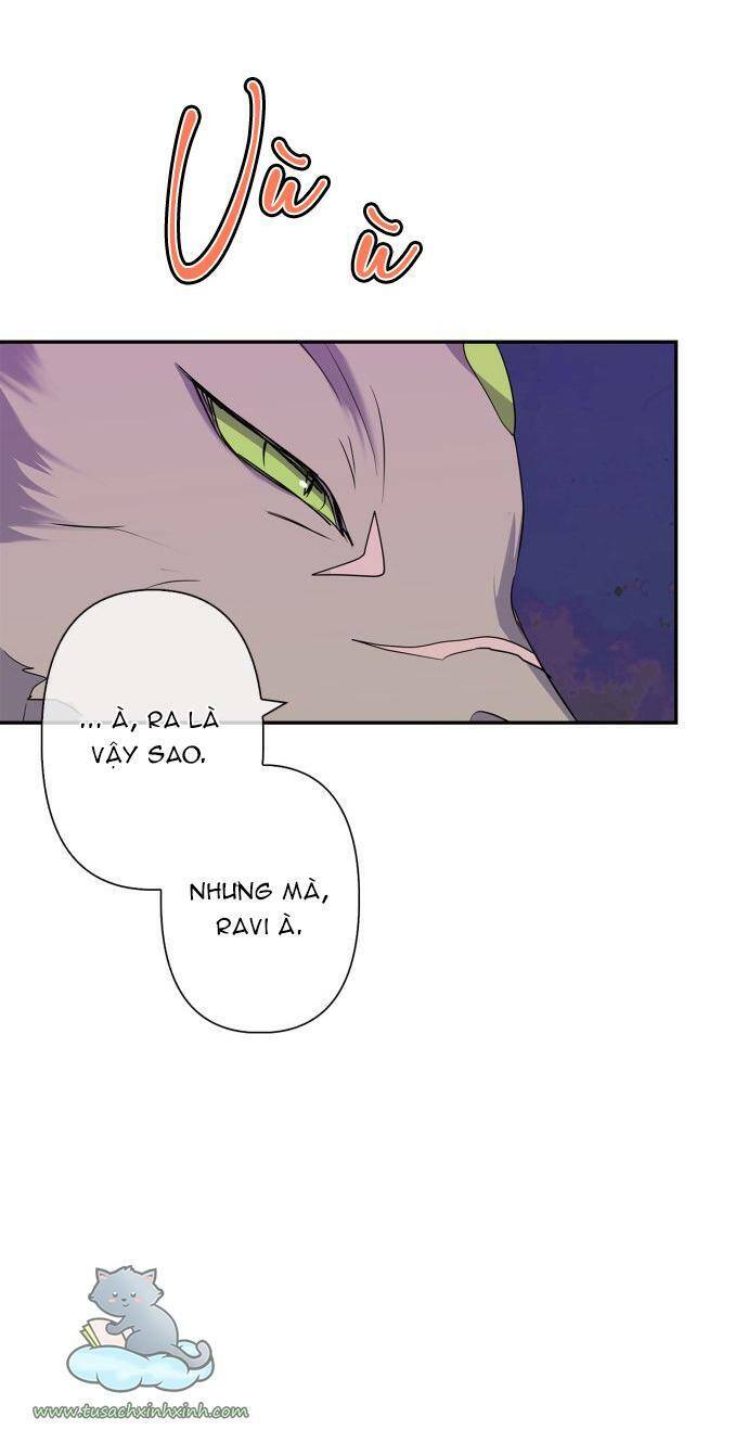 tôi đang nuôi dưỡng một con quái thú chapter 70 31