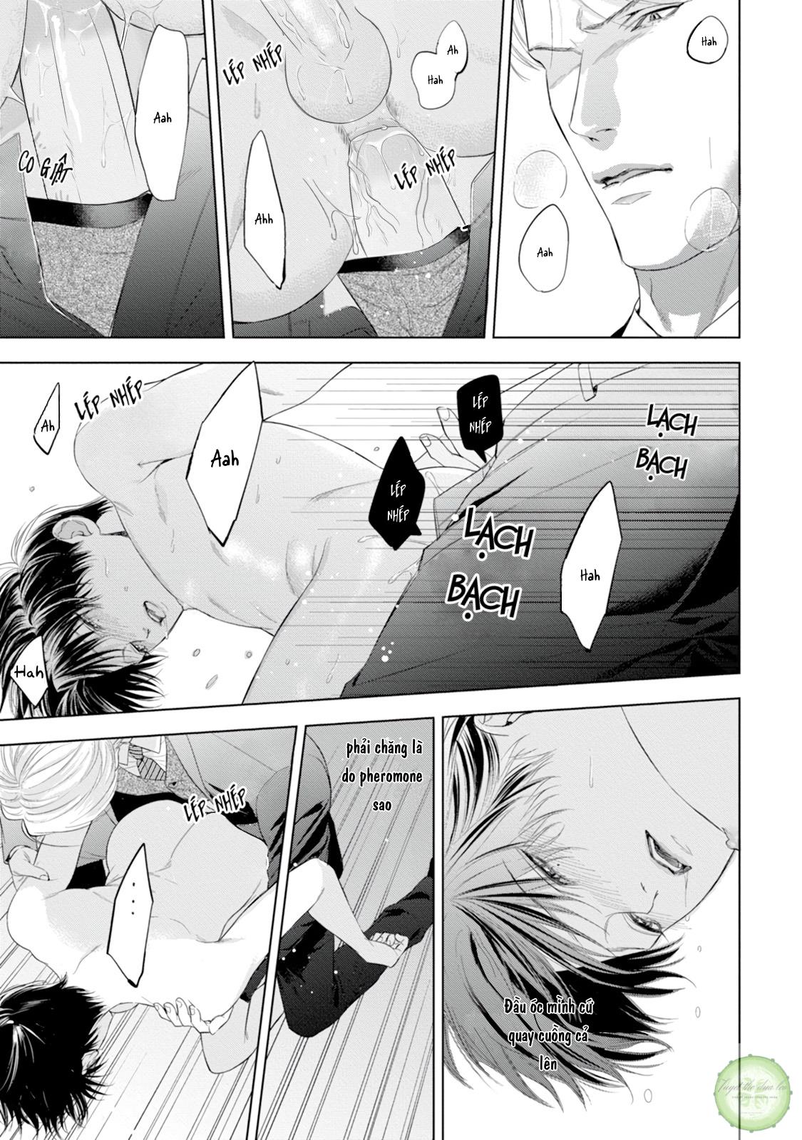 cô dâu của alpha chapter 6 16