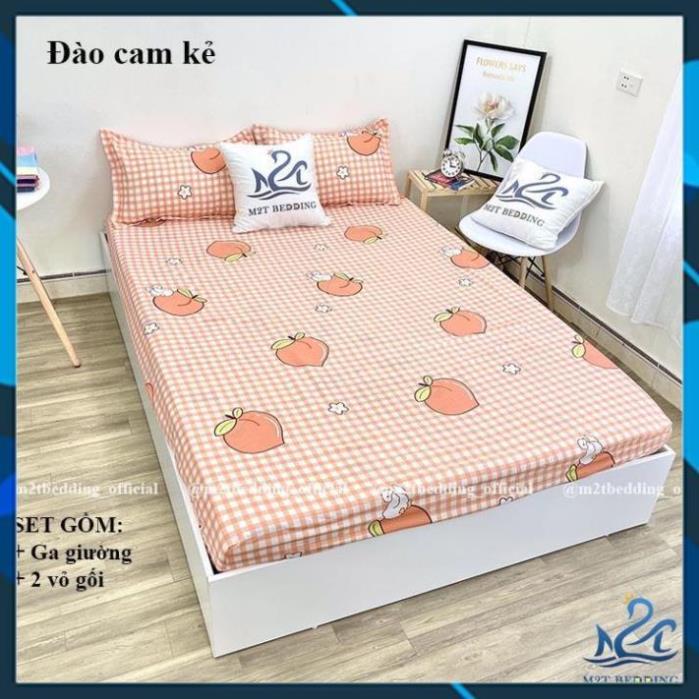 - Bộ 3 món ga gối Cotton Poly Hàn Quốc drap giường và 2 vỏ gối