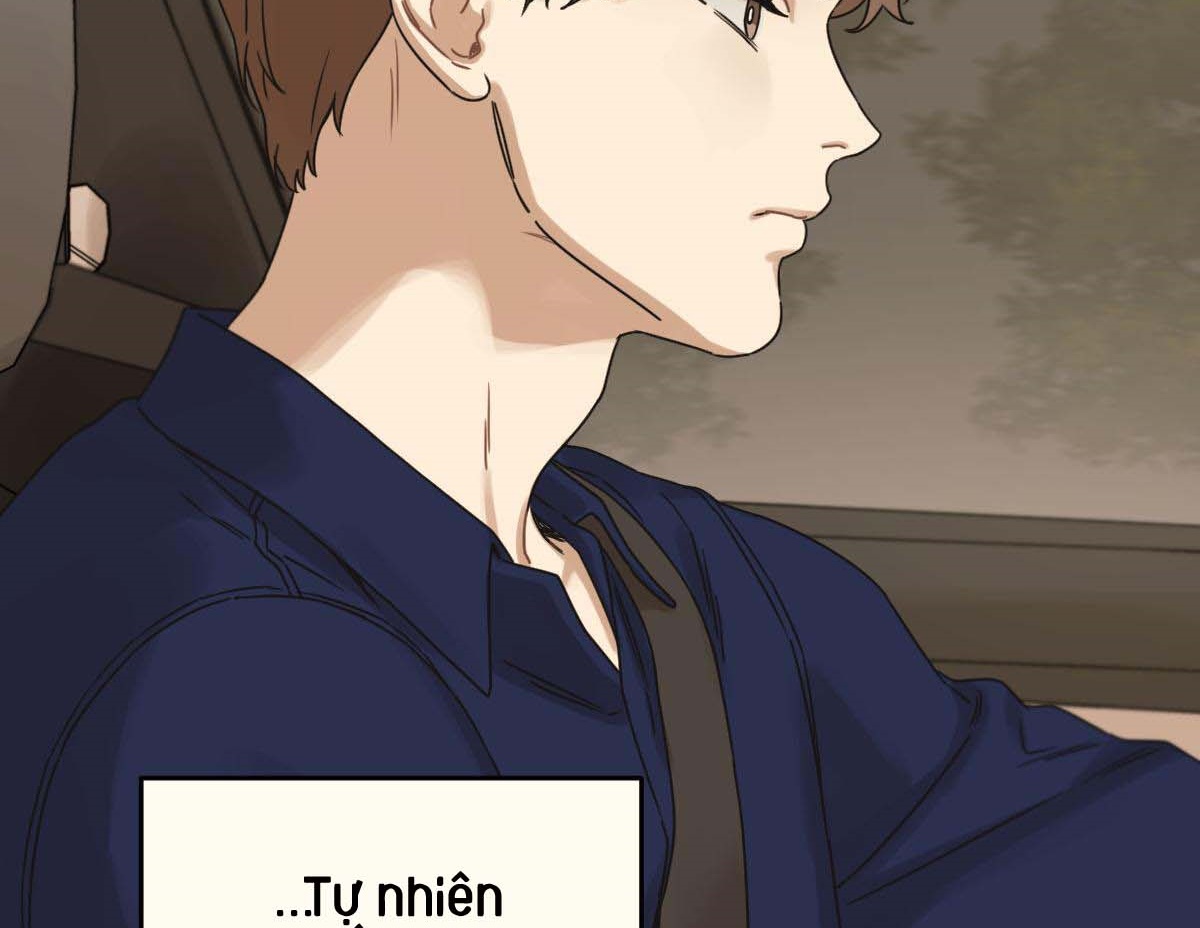 tương phùng chapter 31 263