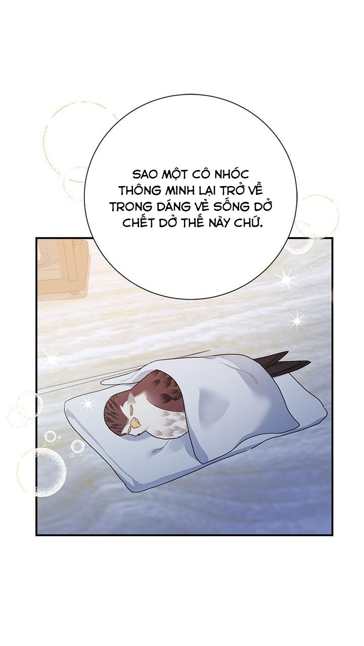 công chúa của loài chim chapter 43 26