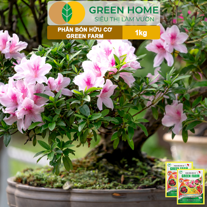 Phân Bón Hữu Cơ Green Farm, GreenHome, Gói 1kg, Chuyên Dùng Cho Cây Cảnh, Hoa Hồng