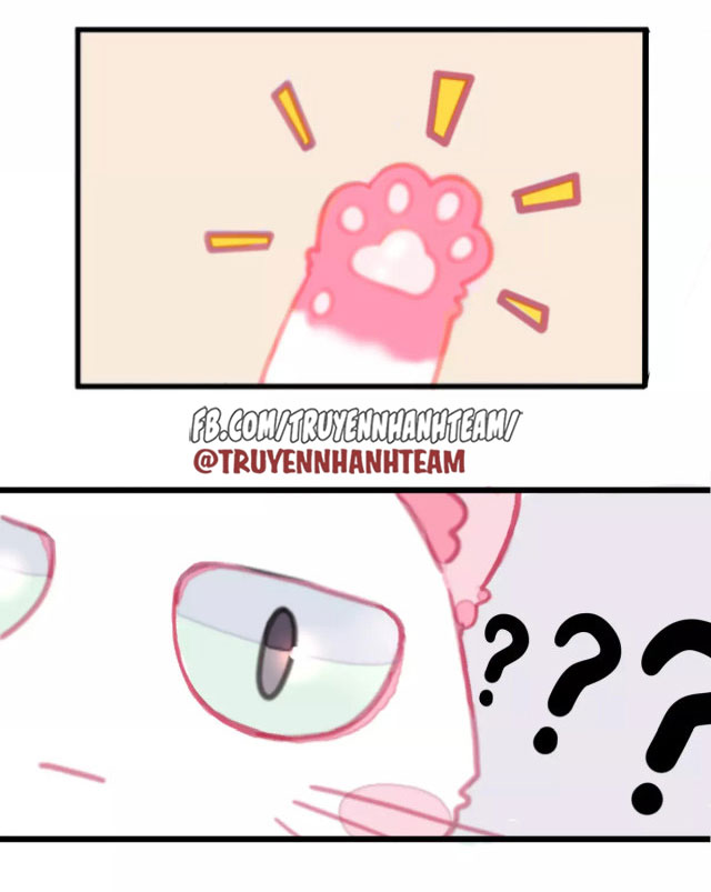 xã hội mèo chapter 1 14
