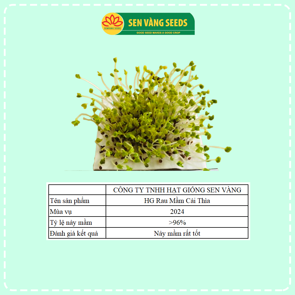 Hạt Giống Rau Mầm Cải Thìa - Hạt nhập khẩu New Zealand, nảy mầm >95%, dễ trồng, sinh trưởng khỏe - HẠT GIỐNG SEN VÀNG