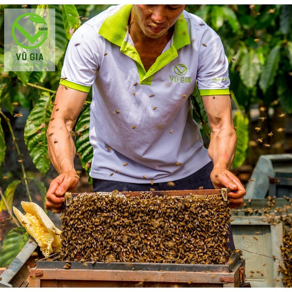 Mật Ong Hoa Cao Su Nguyên Chất Vũ Gia
