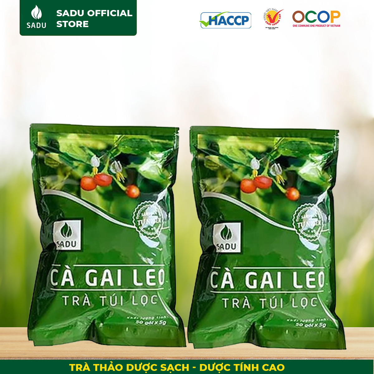 Cà gai leo sadu bảo vệ gan, tăng cường chức năng gan 250g