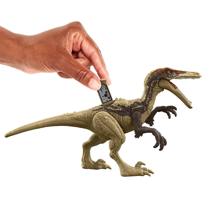 Đồ Chơi JURASSIC WORLD MATTEL Khủng Long Austroraptor  6 Inch Có Khớp Linh Hoạt HLN50/HLN49