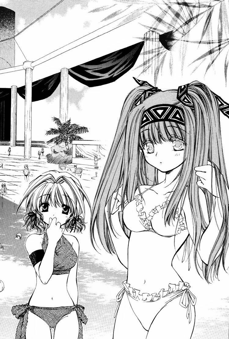 erementar gerad chapter 19 15