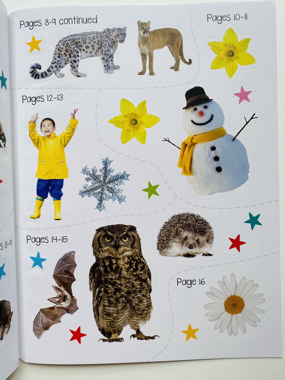 100 Nature Words Sticker Activity-  Miếng Chủ Đề 100 Từ Vựng Về Thiên Nhiên Cho Bé.