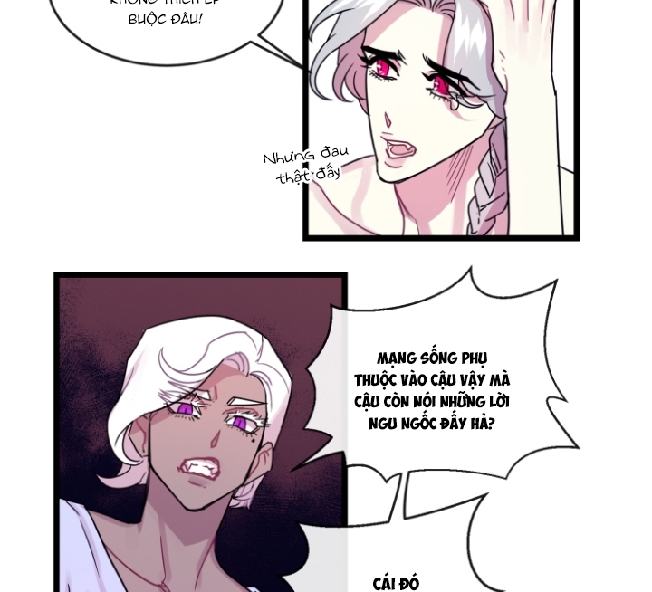 kiếp trước bí ẩn của giáo sư chapter 11 38