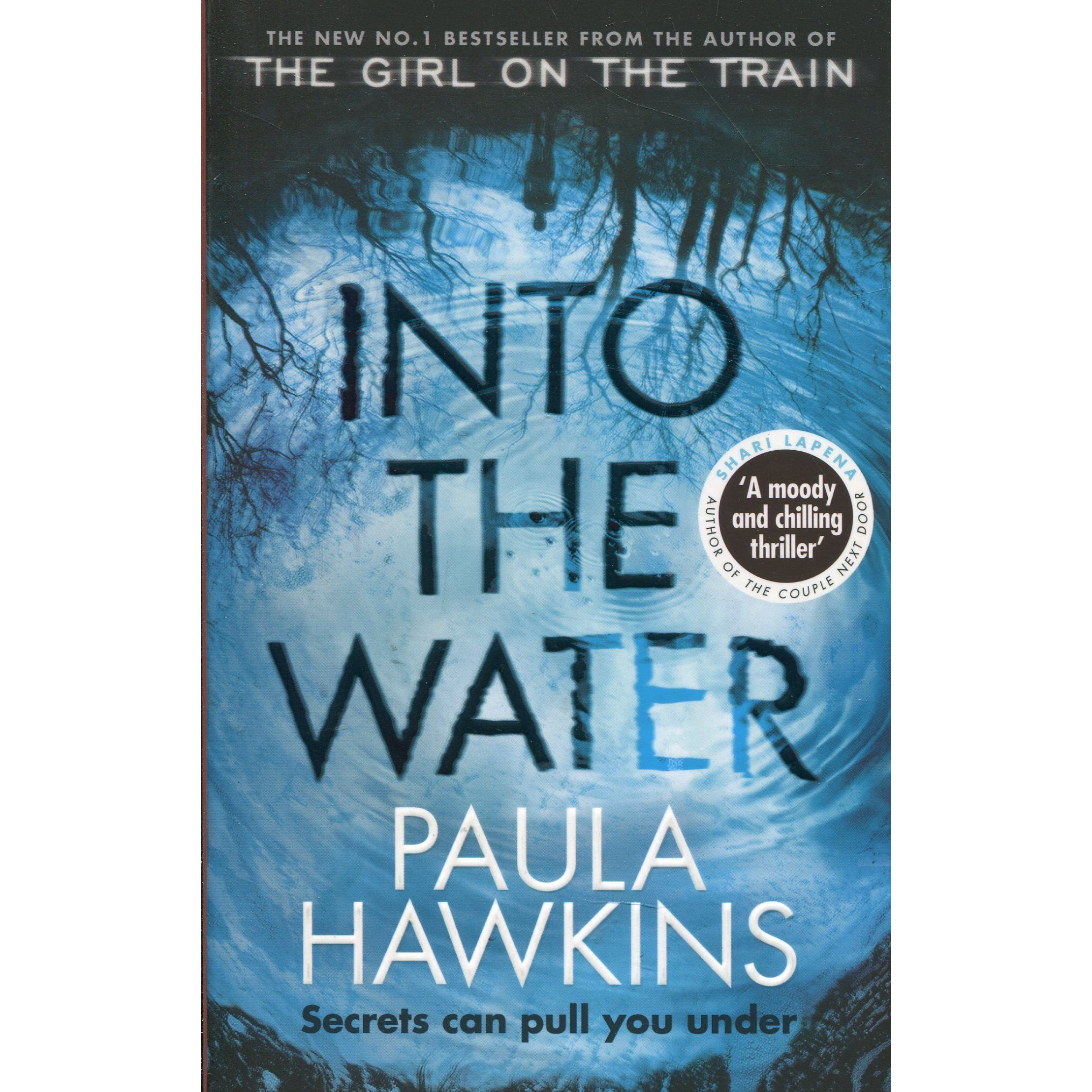 Into the Water Paperback