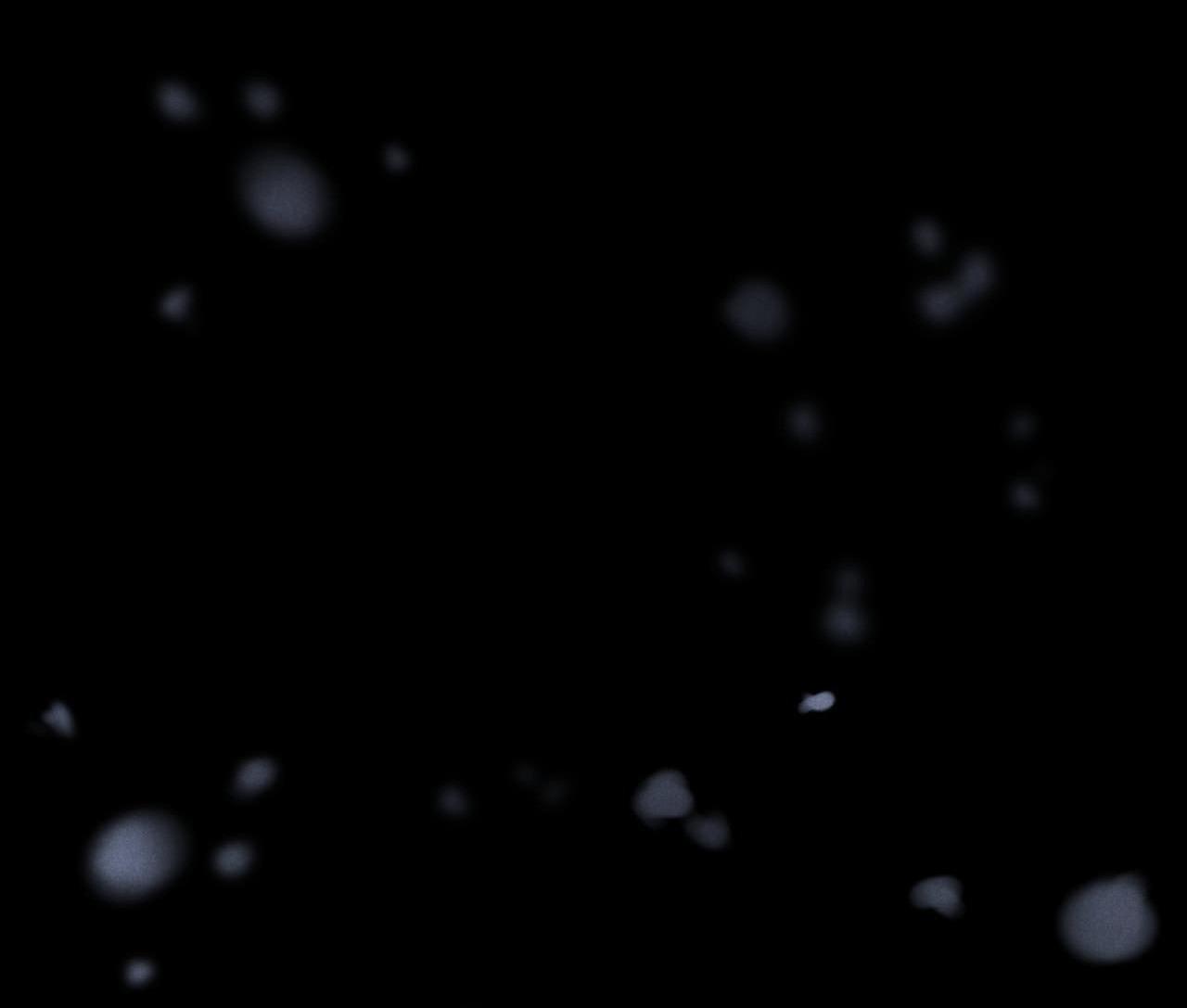 ân huệ chapter 15 26