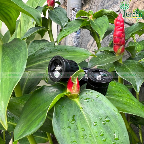 Miệng phun FN- 15SS Series phun dải bên hông Fix 360 độ KRain-Mỹ