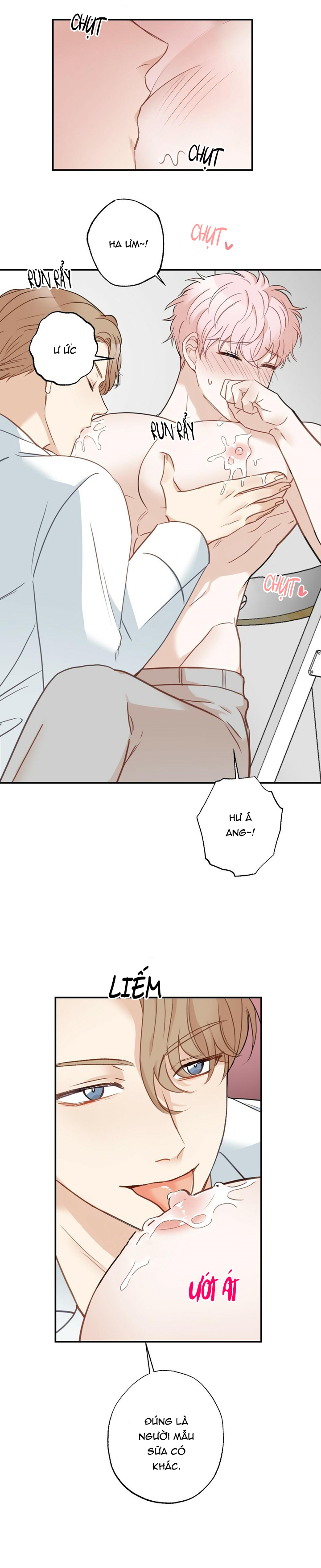 bò sữa quốc dân chapter 2 16