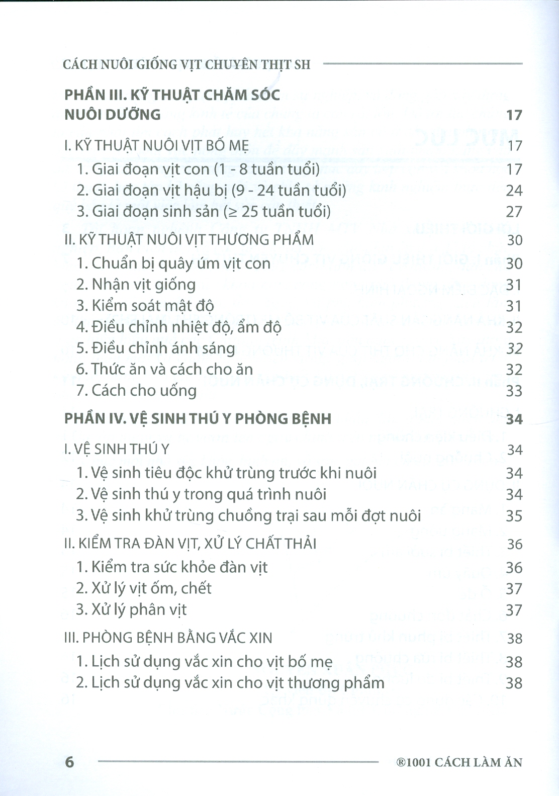 Cách Chăn Nuôi Giống Vịt Chuyên Thịt SH