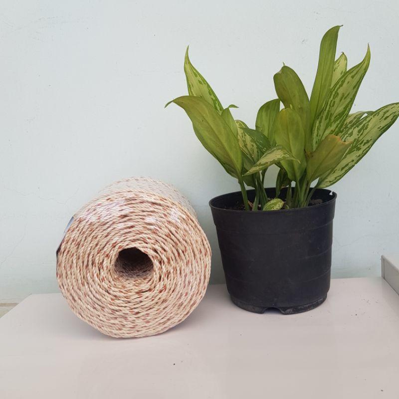 Dây thừng chuyên giăng giàn cây leo 200 mét|| 1kg