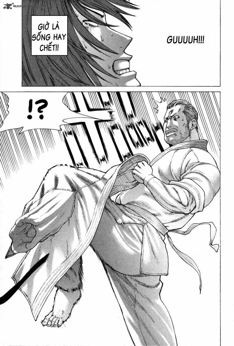 karate shoukoushi kohinata minoru chapter 133 5