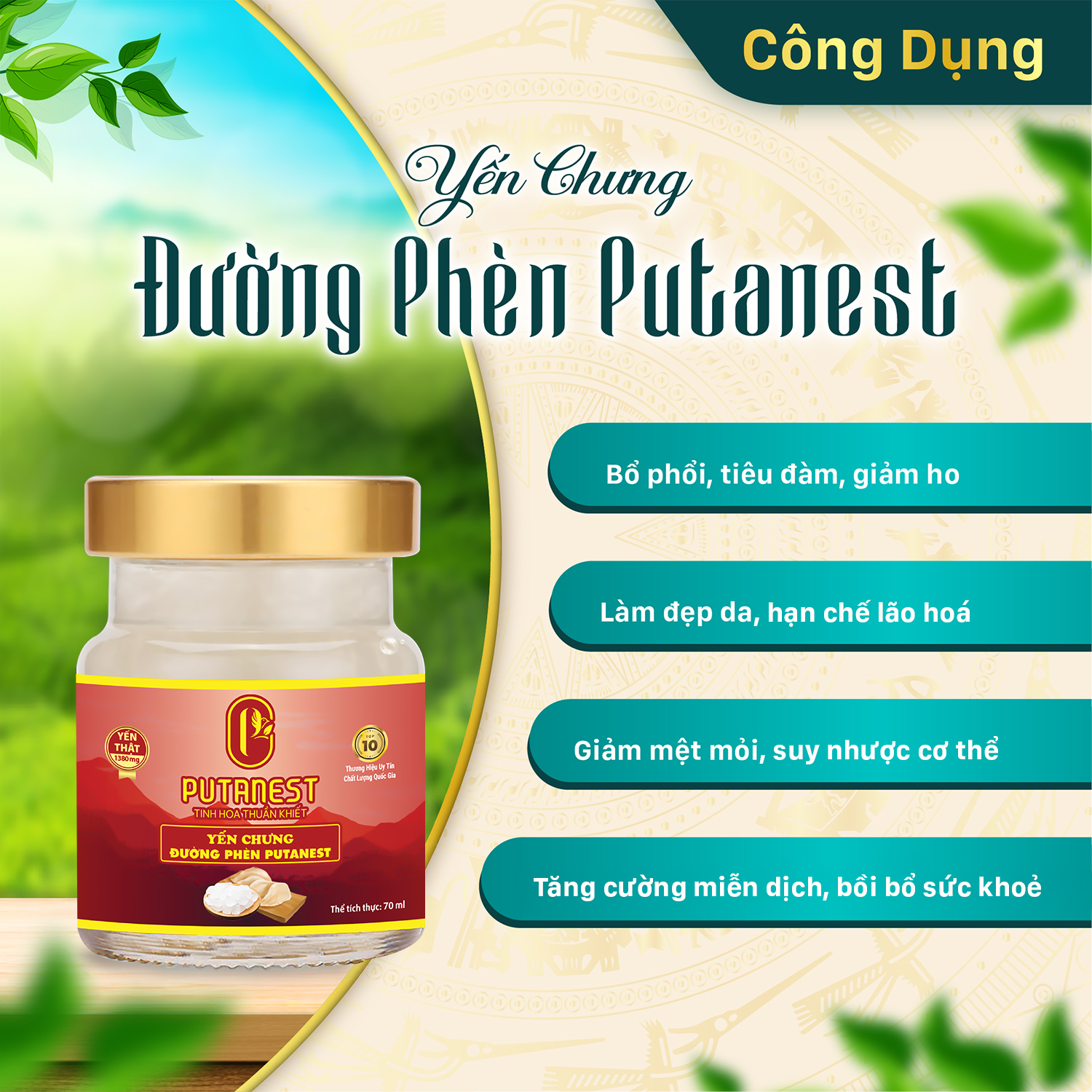 Yến chưng Đường phèn PUTANEST hộp quà tặng cao cấp 12 hũ 70ml đẹp da ngủ ngon tăng sức đề kháng