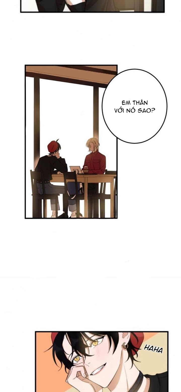 khẩu vị và sự tôn thờ của người yêu tôi chapter 16 16