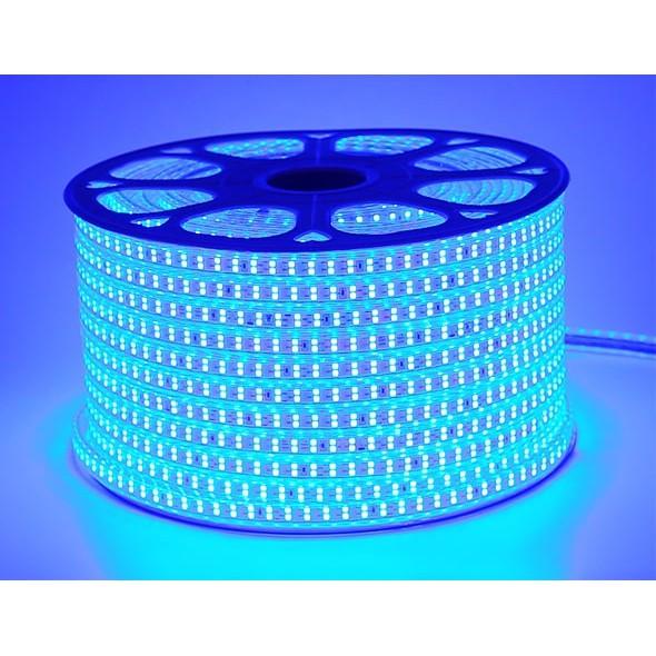 Cuộn Dây LED 2835 Đôi Dài 100m Ánh Sáng Vàng,Trắng, Xanh Lá ,Xanh Dương,Đỏ,RBG,Hồng