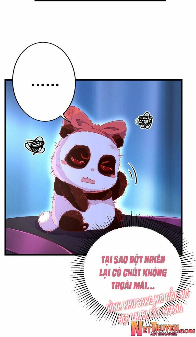 thiên thần gấu trúc muốn được ôm chapter 28 12